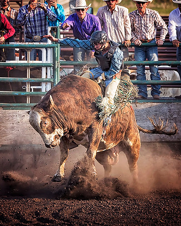 rodeo - 049