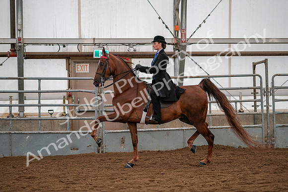 July 19, 2019 - 10314