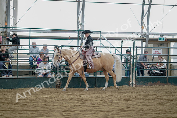 July 21, 2019 - 06538
