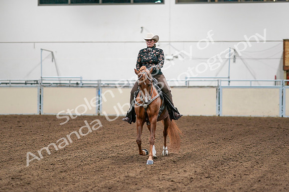 2020 - AB Morgan Horse - Fri, Sept 04 - 08506