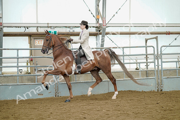 July 20, 2019 - 07859