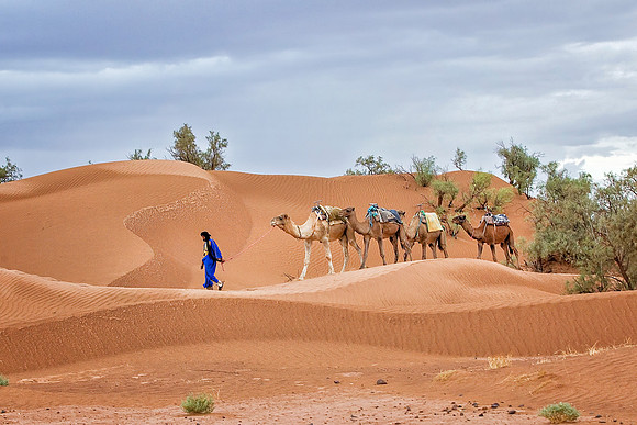 Morocco - 113