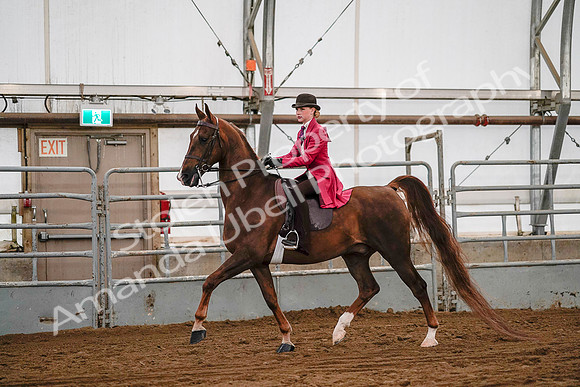 July 19, 2019 - 8733