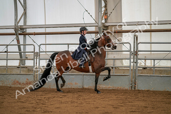 July 19, 2019 - 4028