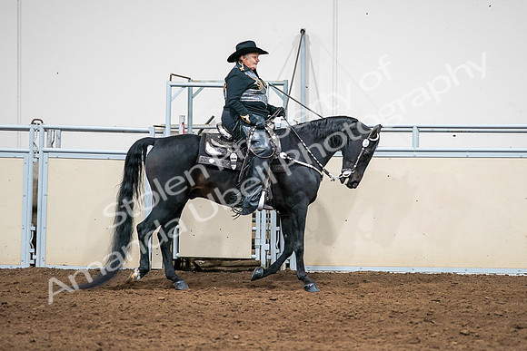 2020 - AB Morgan Horse - Sat, Sept 05 - 08954