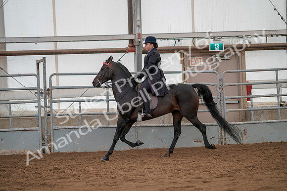 July 20, 2019 - 04507