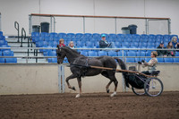 2019 Morgan Horse Show - Aug 31, 2019 - 10256