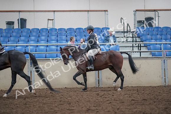 2019 Morgan Horse Show - Aug 31, 2019 - 14995