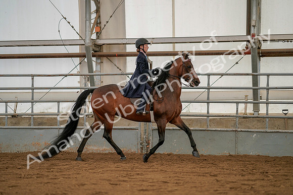 July 19, 2019 - 4037