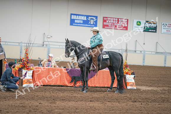 2020 - AB Morgan Horse - Sun, Sept 06 - 01666