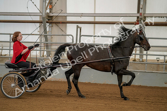 July 20, 2019 - 00249