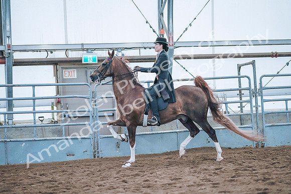 July 20, 2019 - 24049