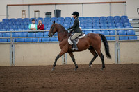 2019 Morgan Horse Show - Aug 31, 2019 - 04827