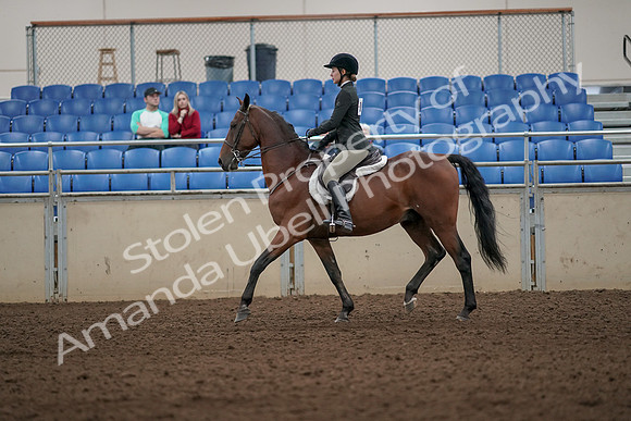 2019 Morgan Horse Show - Aug 31, 2019 - 04827