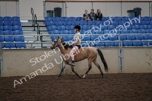 2019 Morgan Horse Show - Aug 30, 2019 - 31070