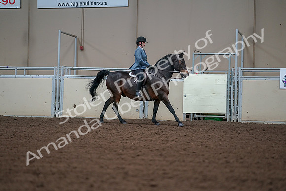 2019 Morgan Horse Show - Aug 30, 2019 - 18596