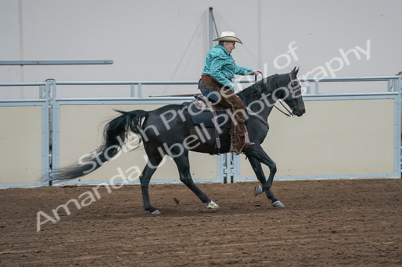 2020 - AB Morgan Horse - Fri, Sept 04 - 00494