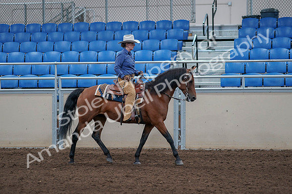 2020 - AB Morgan Horse - Fri, Sept 04 - 00201