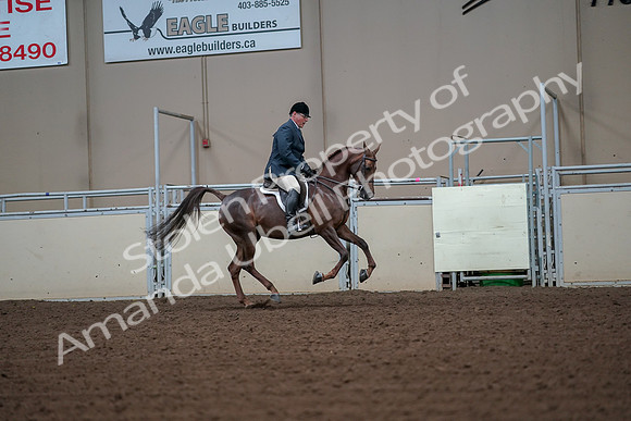 2019 Morgan Horse Show - Aug 30, 2019 - 17528