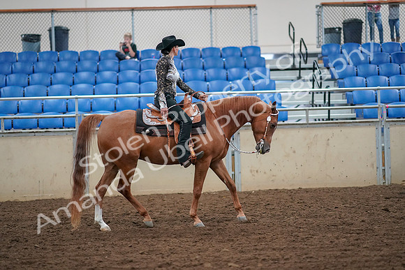 2019 Morgan Horse Show - Aug 30, 2019 - 17091
