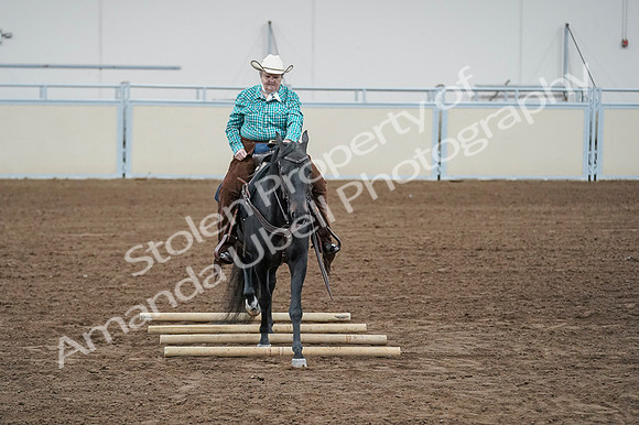 2020 - AB Morgan Horse - Fri, Sept 04 - 00643