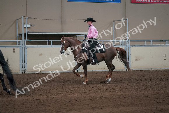 2019 Morgan Horse Show - Sept 01, 2019 - 06998