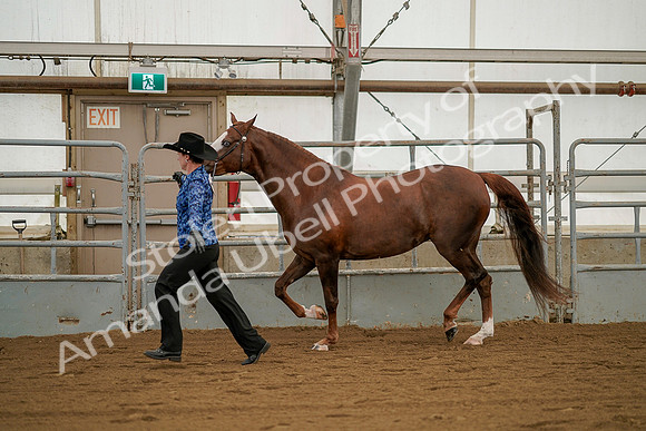 July 19, 2019 - 1293