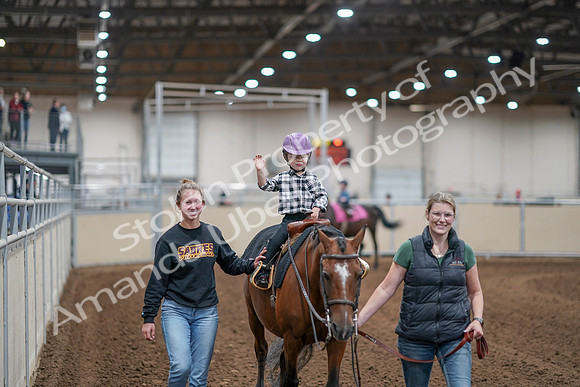 2020 - AB Morgan Horse - Sat, Sept 05 - 10079