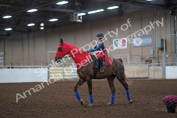 2019 Morgan Horse Show - Aug 31, 2019 - 10067