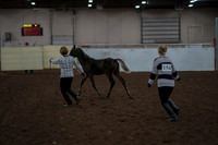 2019 Morgan Horse Show - Aug 31, 2019 - 00063