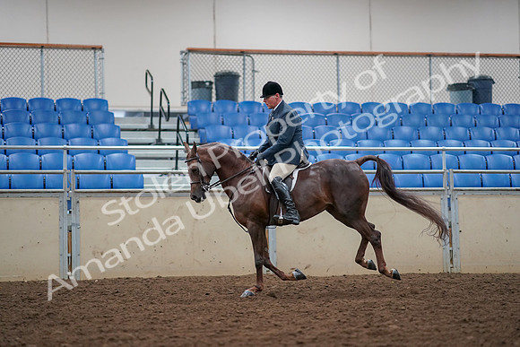 2019 Morgan Horse Show - Aug 30, 2019 - 17479
