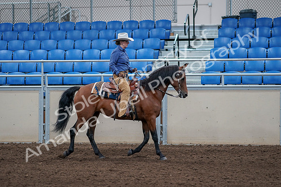 2020 - AB Morgan Horse - Fri, Sept 04 - 00203