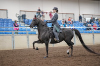2019 Morgan Horse Show - Aug 30, 2019 - 28372