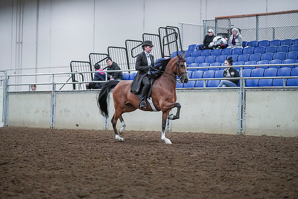 Spring Fling - Saturday - April 20, 2019  -  00803