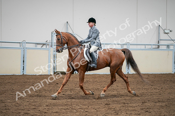 2020 - AB Morgan Horse - Sat, Sept 05 - 03296