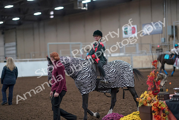 2019 Morgan Horse Show - Aug 31, 2019 - 10042