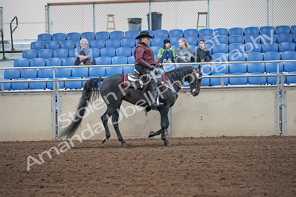 2019 Morgan Horse Show - Aug 31, 2019 - 10675