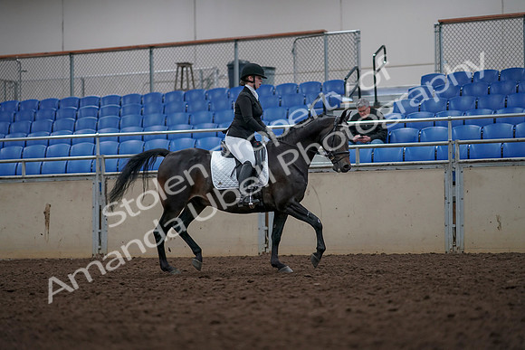 2019 Morgan Horse Show - Aug 31, 2019 - 16720
