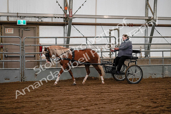 July 19, 2019 - 7058