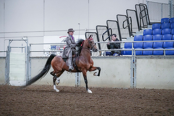 Spring Fling - Saturday - April 20, 2019  -  00566