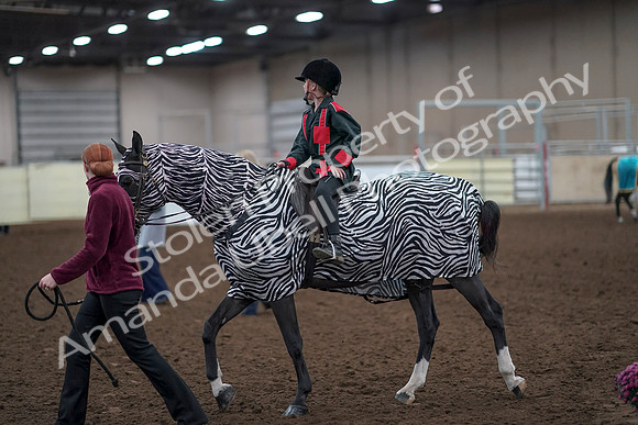 2019 Morgan Horse Show - Aug 31, 2019 - 10054