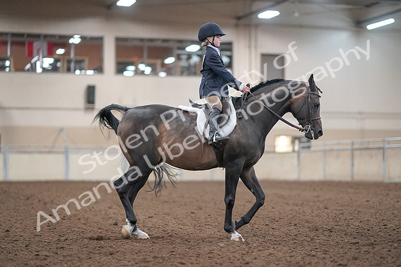 2019 Morgan Horse Show - Aug 31, 2019 - 19669