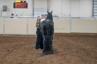 2020 - AB Morgan Horse - Sat, Sept 05 - 00109