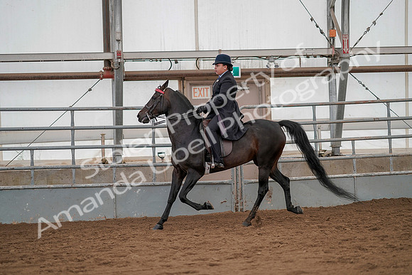 July 20, 2019 - 04501