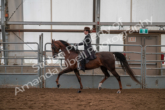 July 19, 2019 - 13034