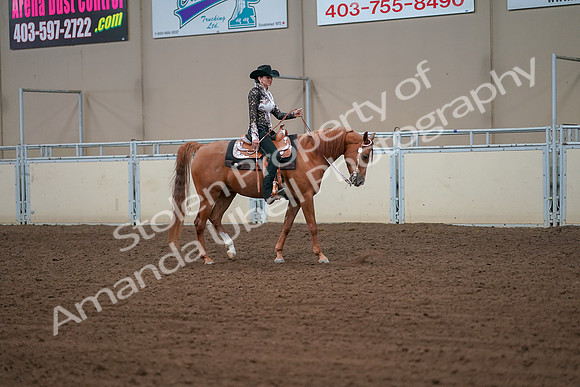 2019 Morgan Horse Show - Aug 30, 2019 - 16918
