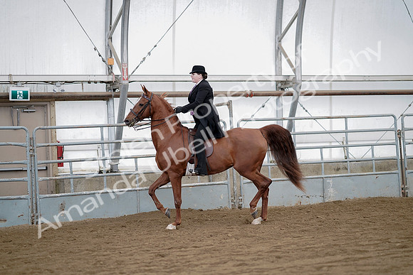 July 21, 2019 - 10471
