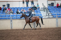 2019 Morgan Horse Show - Aug 31, 2019 - 21372
