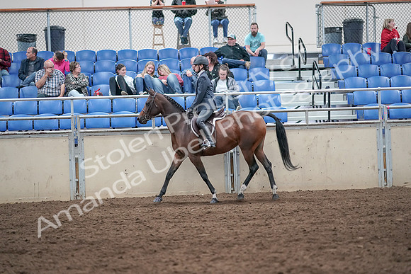2019 Morgan Horse Show - Aug 31, 2019 - 21372