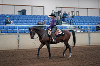 2019 Morgan Horse Show - Aug 31, 2019 - 10540